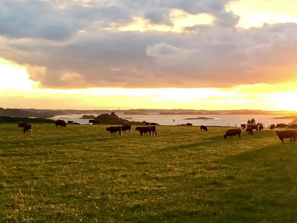 Vue Mer Et Campagne / Cote De Terenez Villa Plougasnou 0*,  France