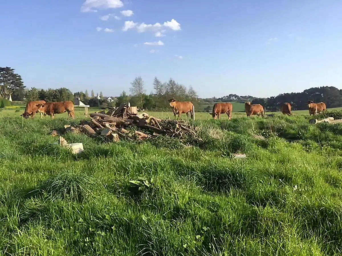 Vue Mer Et Campagne / Cote De Terenez Villa Plougasnou